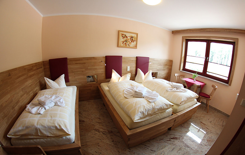 Hotel Brauner Hirsch in Harztor-Sophienhof