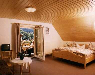 Gästehaus Schwarzwaldgasthaus Salenhof in Titisee-Neustadt