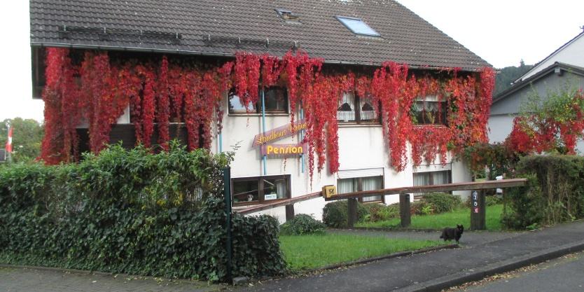 Pension-Landhaus Bräuer in Freudenberg bei Siegen