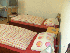 Pension & Gasthaus Alte Dorfschenke in Bornheim