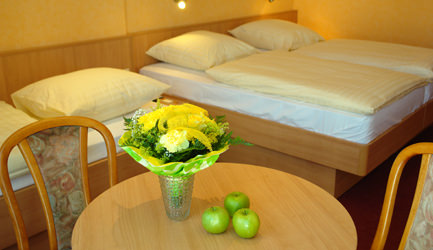 Hotel Rügen Park in Gingst