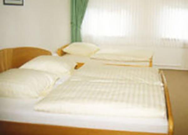 Hotel Zum Braunen Hirsch in Alfeld