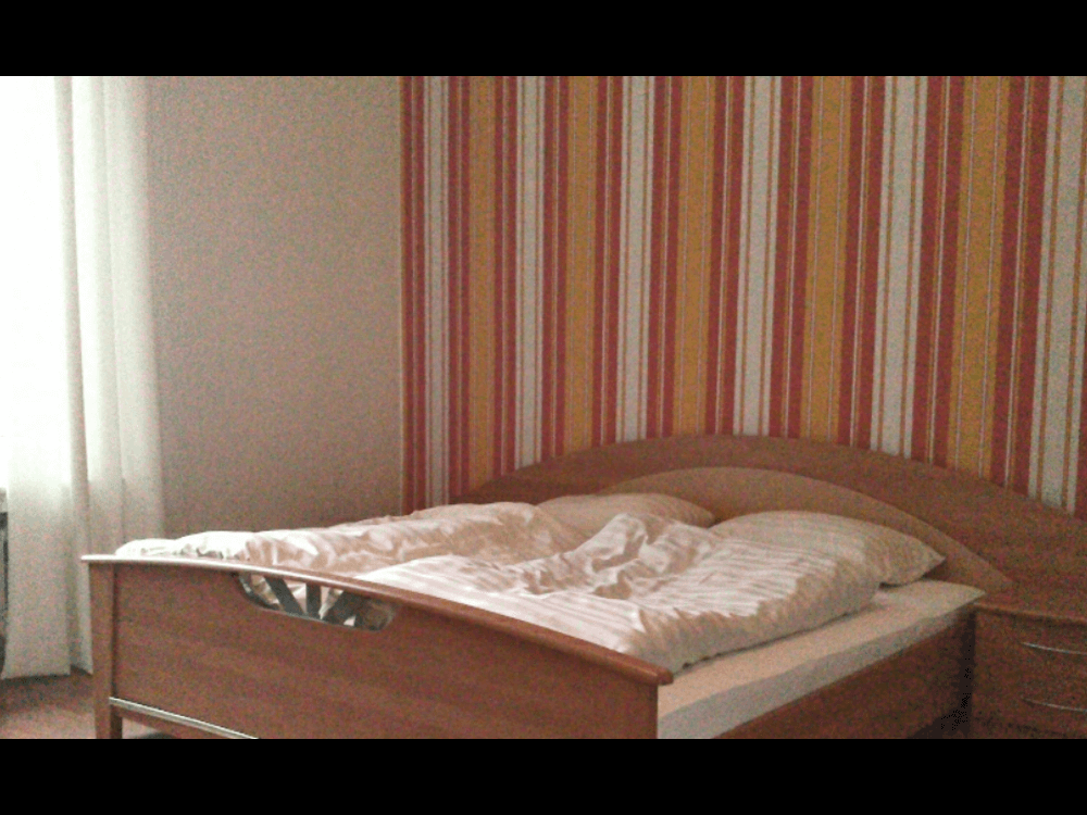 Hotel Zur Ems in Salzbergen