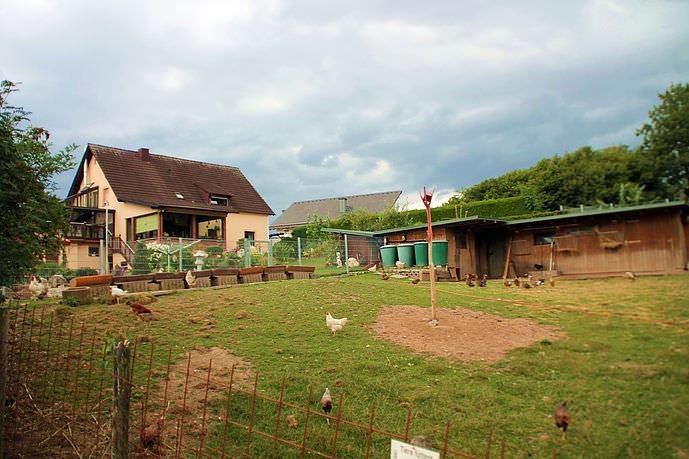 Pension Haus Wildgarten in Schillingen