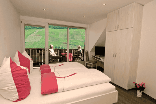 Hotel Burg-Schneider & Weinhaus in Reil