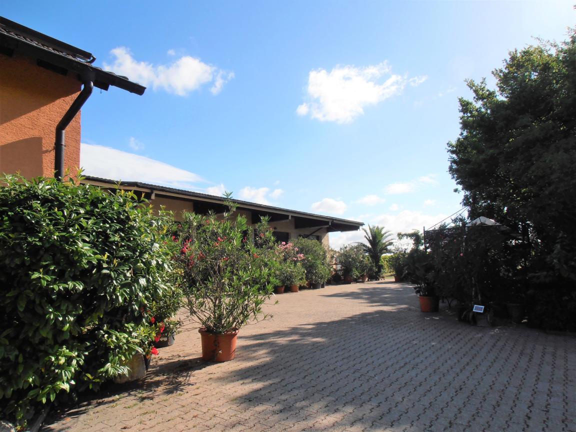  Vinotel Nettelbeck - Gästezimmer-Weine-Veranstaltungen in Hohen-Sülzen