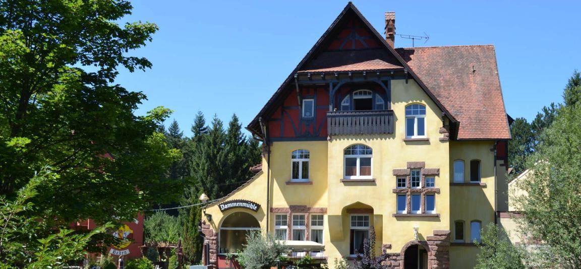 Landhotel Dammenmühle in Lahr-Sulz