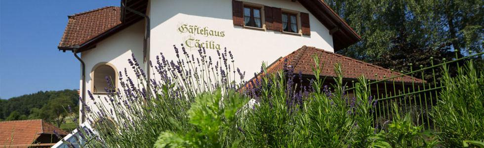 Landgasthof Hirschen in Waldshut-Tiengen-Breitenfeld