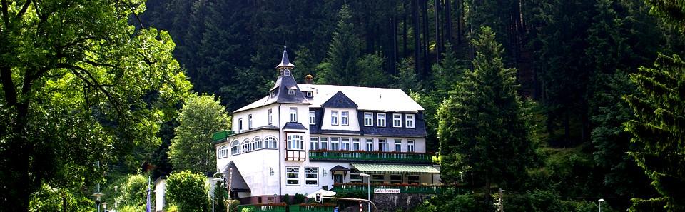 Flair-Hotel Waldfrieden in Meuselbach