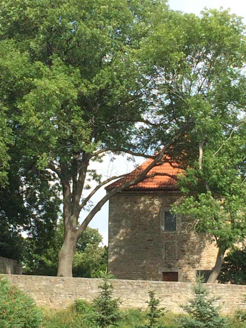 Ferienwohnung am Schlosspark in Schlotheim bei Weinbergen