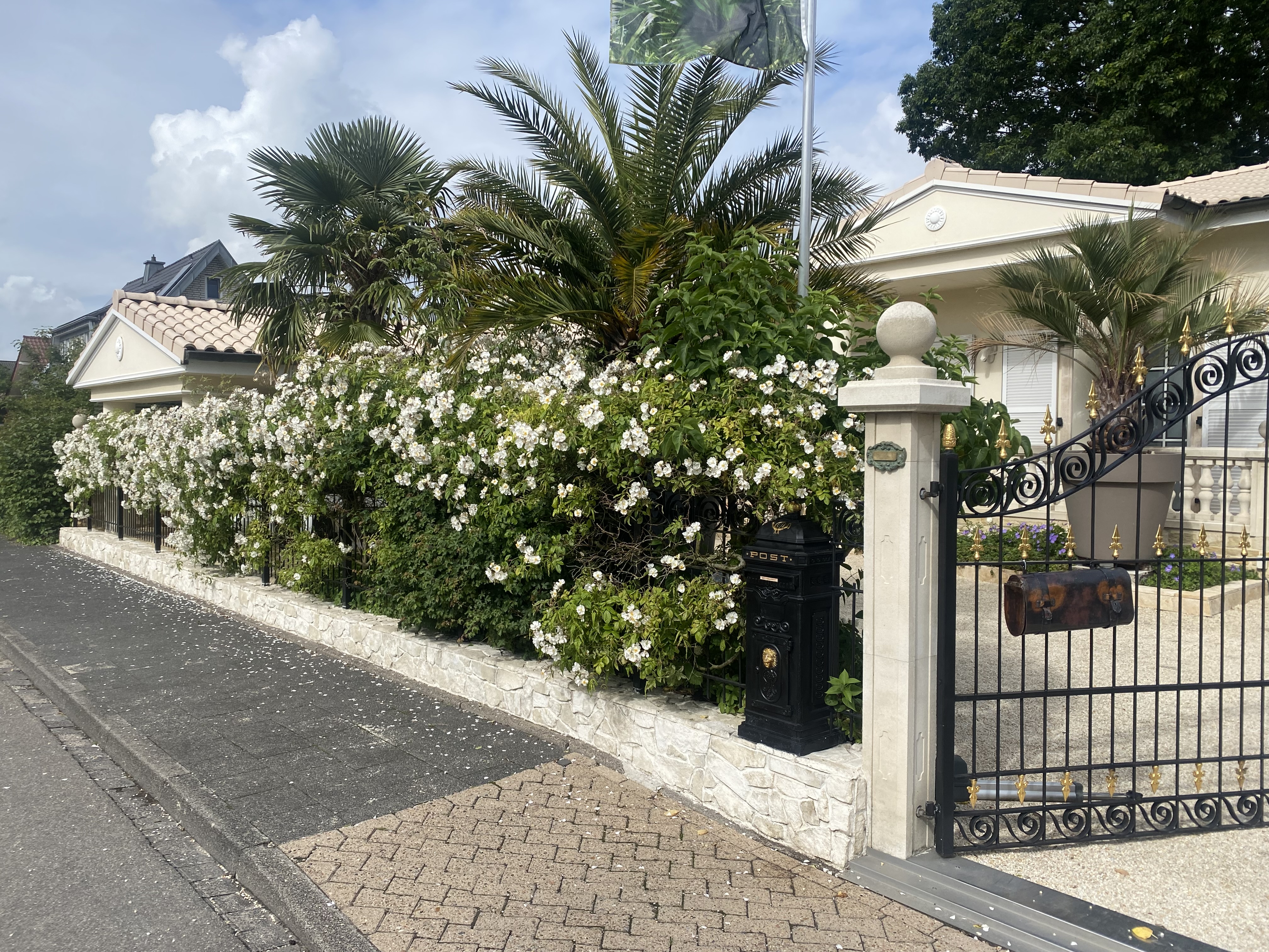 Pension Apartmentvermietung Wilsmann in Hövelhof