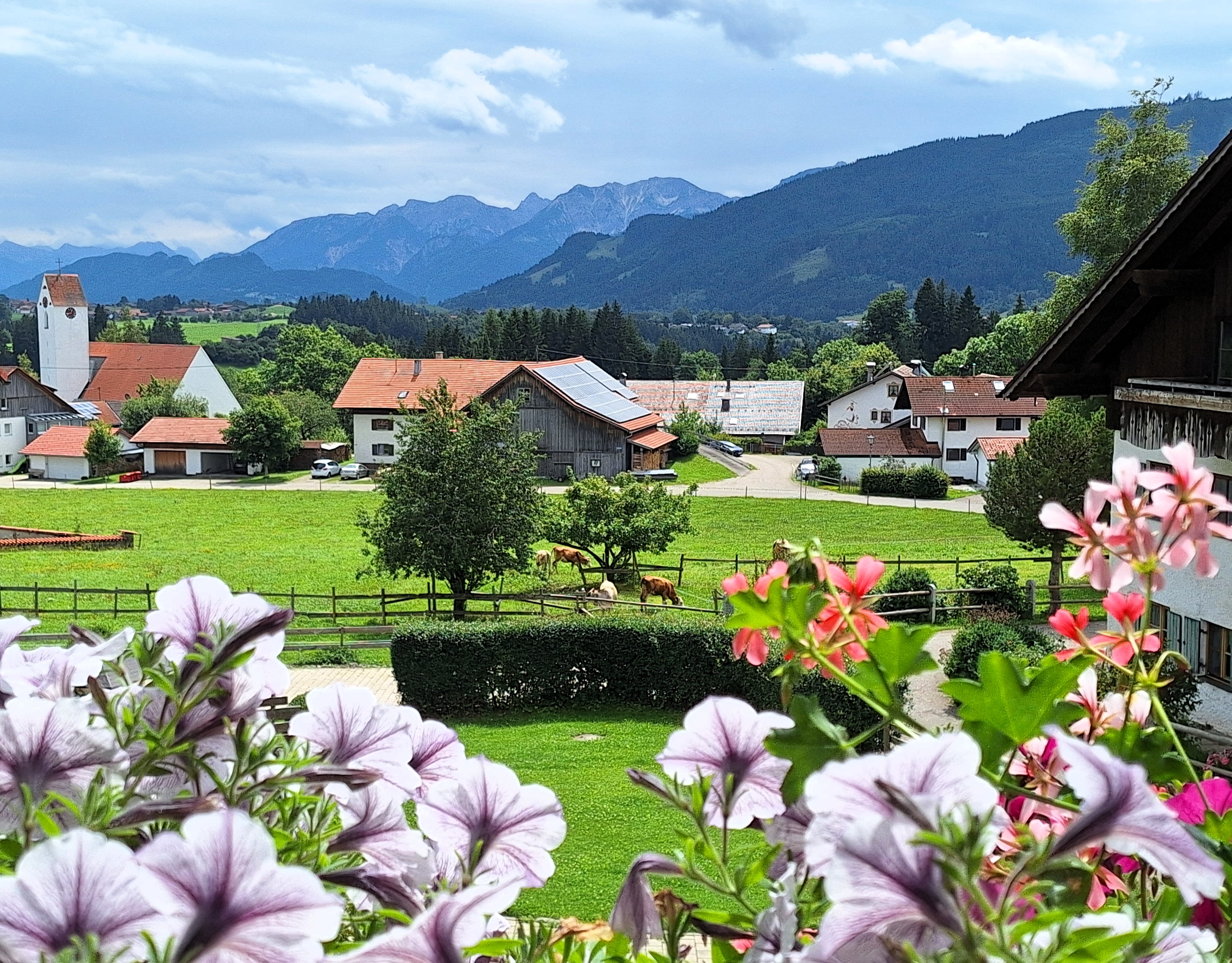 Pension Alpenblick in Oy-Mittelberg