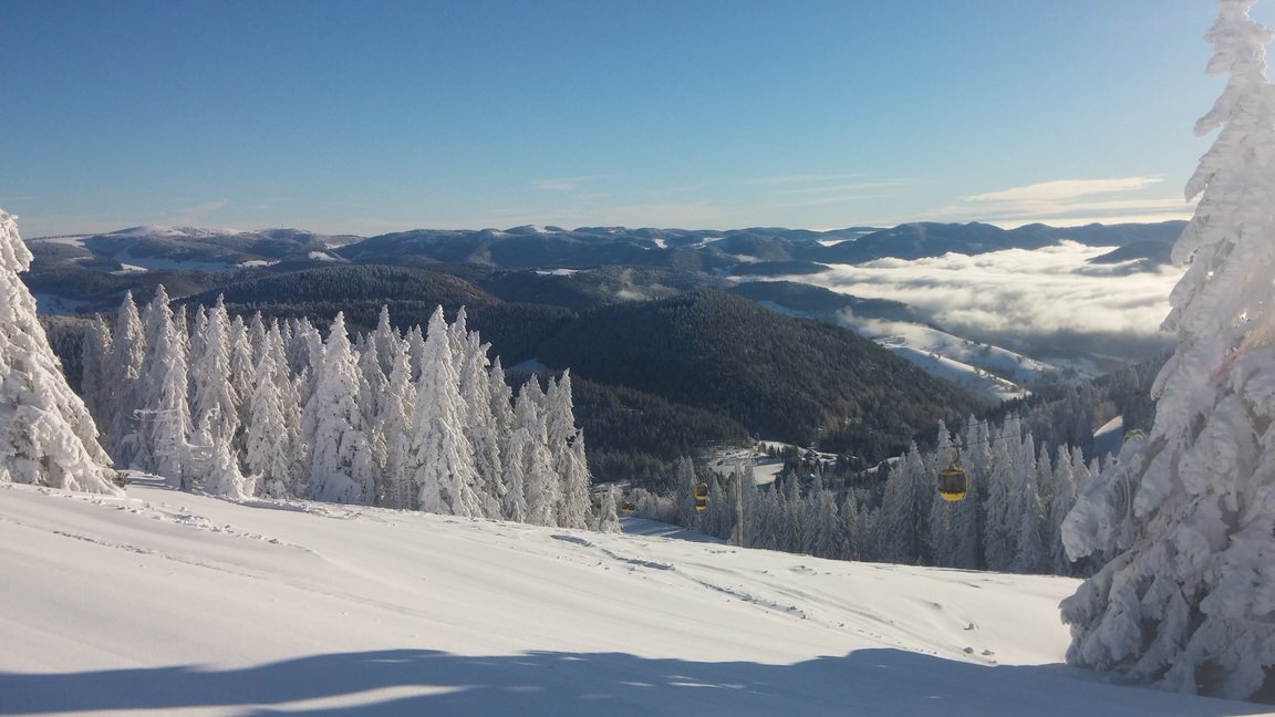 Pension Haus Inge  in Aitern