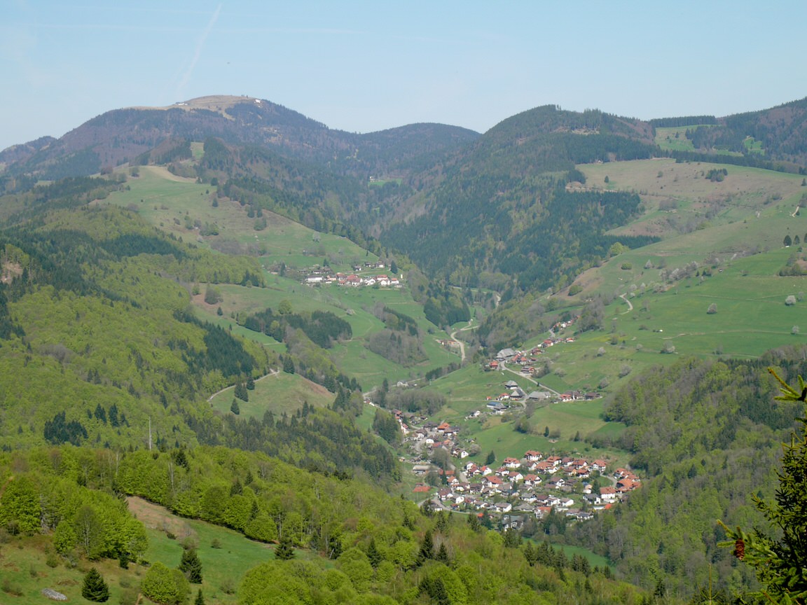 Pension Haus Inge  in Aitern