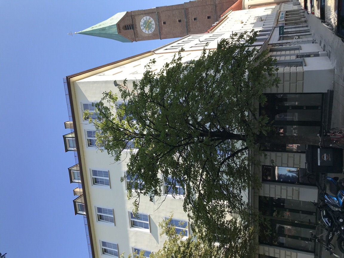  Hotel Der Tannenbaum in München