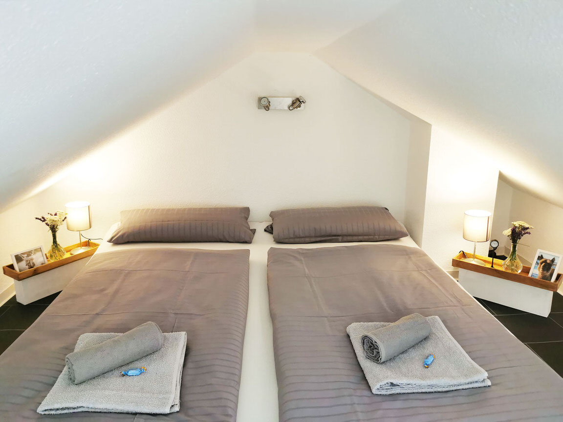  Alpakaparadies Eichsfeld in Heilbad Heiligenstadt