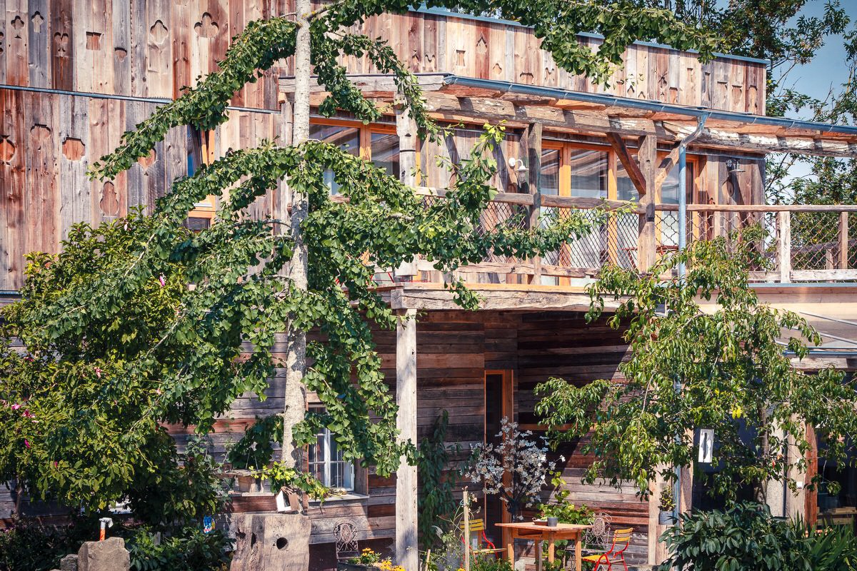  der baum, Pension in Inzersdorf im Kremstal bei Pettenbach