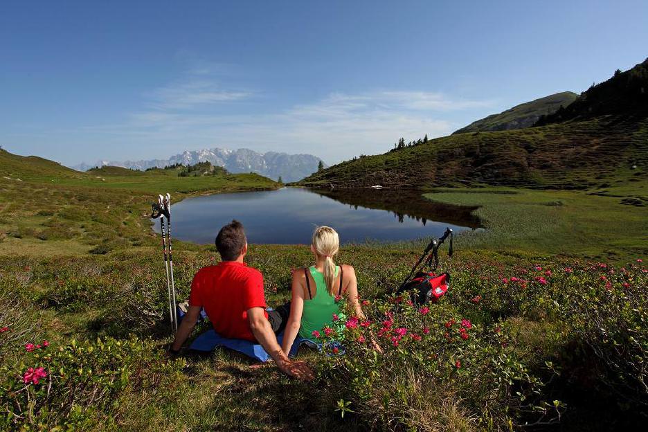 Naturhotel Huettenwirt in Grossarl