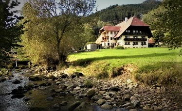 Hänslehof,Ferienwohnung in Elzach bei Mühlenbach